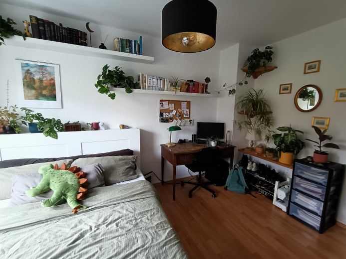 Gemütliche Zimmer in 3er WGs an der Grenze zu Poppelsdorf zu vermieten – Foto 5