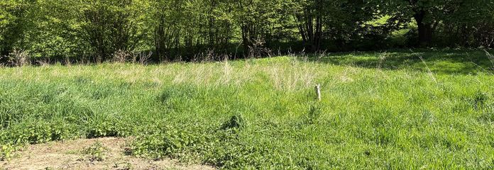 großzügiges Grundstück mit einzigartigem Blick