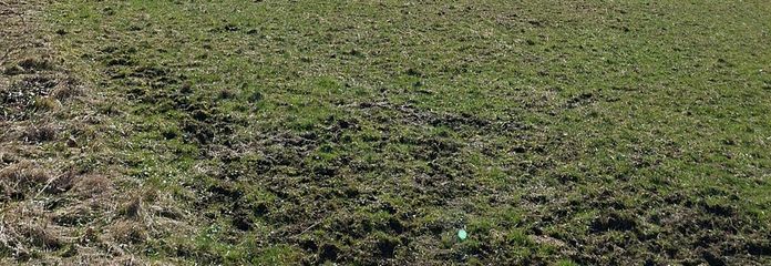 Blick auf die Lausche
