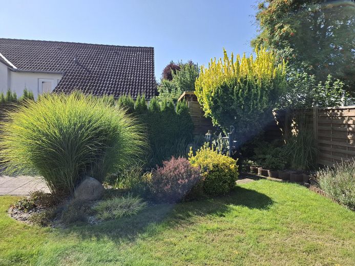 Bepflanzung am Teich