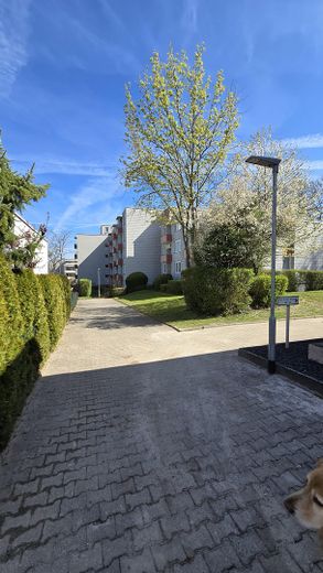 Reihenendhaus in beliebter Lage von Pforzheim Sonnenhof – फोटो 22