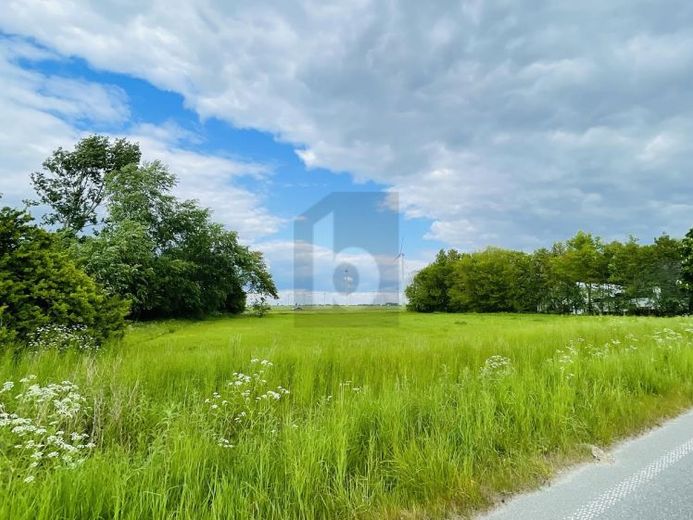 LEBEN IN DER NATUR AN DER NORDSEEKÜSTE – फोटो 1