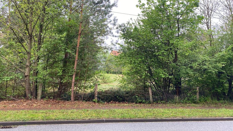 1.254 m² Baugrundstück nahe Stechlinsee – teilbar , ruhige Lage (provisionsfrei) – Foto 3