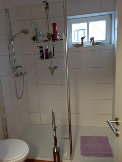 top saniertes Bauernhaus mit Resthof – Dusche OG