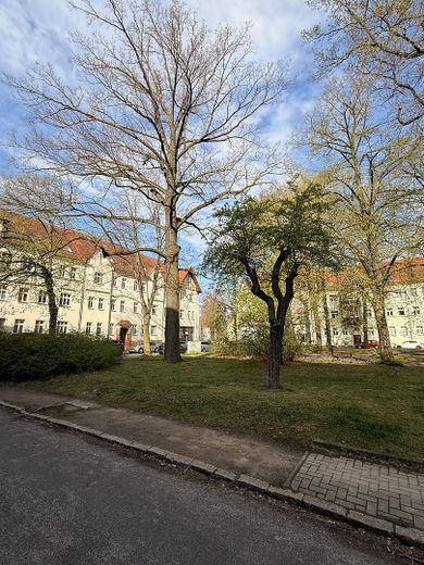 Helle 3-Raumwohnung im Erstbezug – Lage