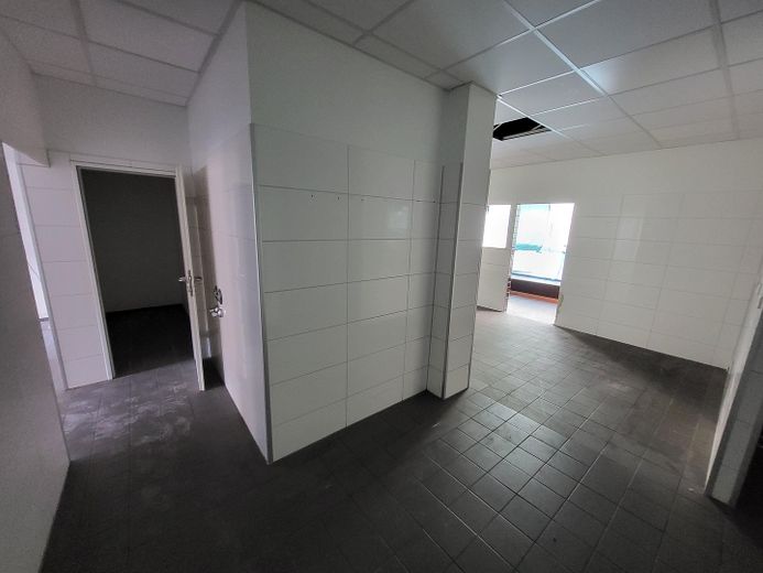 Blick in Lager- & Verkaufsraum