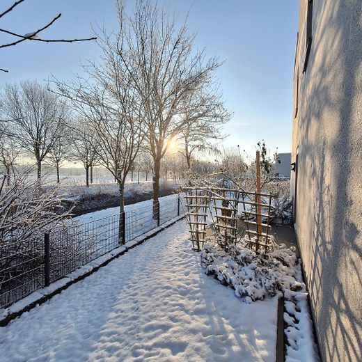 Exklusives Stadthaus am Seerosenpark in Bremen Oberneuland - provisonsfrei! – Winterimpressionen - Ostseite