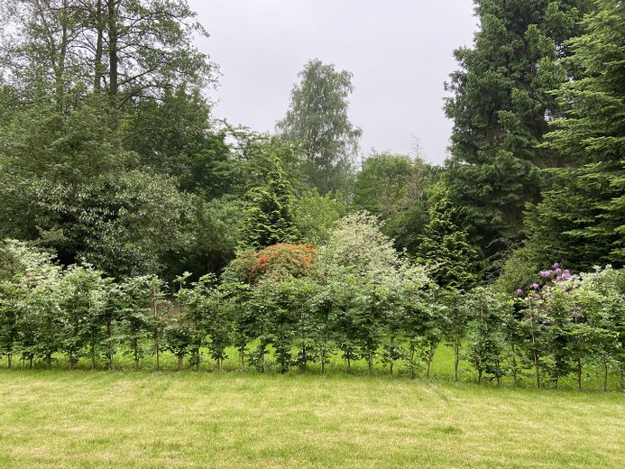 Wunderschöne Neubauwohnung mit eigenem Garten – Foto 4