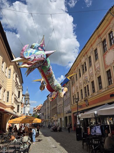 Inwestycja kapitałowa z potencjałem rozwoju – 4 miesz. + lokal użytkowy – Górne Łużyce – Foto 33