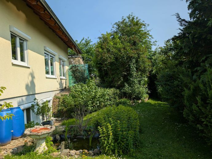 Blick auf Teich und Südseite