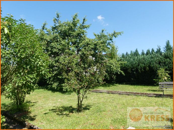 Bild 19