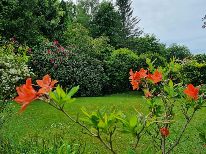 Garten im Mai