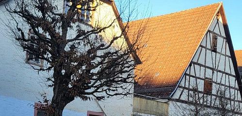 Seitenansicht Wohnhaus+Scheune