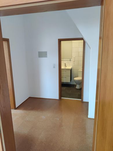 !provisionsfrei+WG-geeignet helle hochwertig sanierte 4 ZKB Altbauwohnung in Seckenheim – Diele