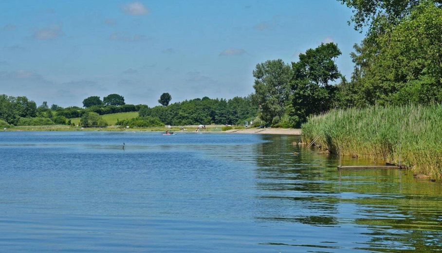 Schlei