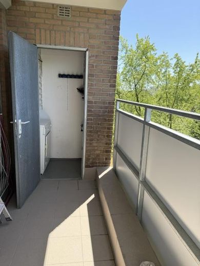 42qm Apartment mit Balkon im grünen Teil von Bonn Auerberg – Foto 8