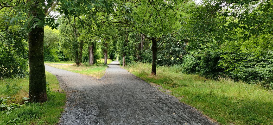 Hannover Teraslı Evinde 3 Kat Üzerine Yayılmış Muhteşem 4 Odalı Daire – Direkte Umgebung des Hauses