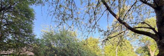 Idyllisches Baugrundstück für ein oder zwei Wohnhäuser in Mechtersen