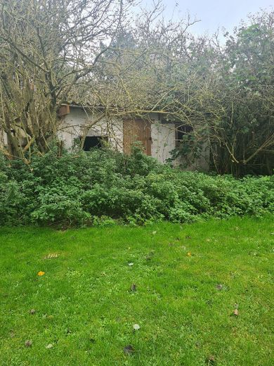 Investmentchance auf Rügen: Mehrfamilienhaus + ca. 3.087 m² Grundstück, Wasser-/Ostseenähe – Schuppen