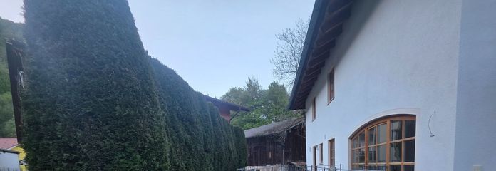 Gartenbereich