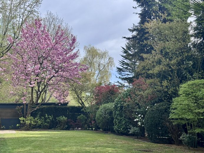 Exklusive Wohlfühloase in GE-Resse: 214 m² Luxus, Schreiner-Einbauten & traumhafter Naturpool – Garten mit Brunnen 