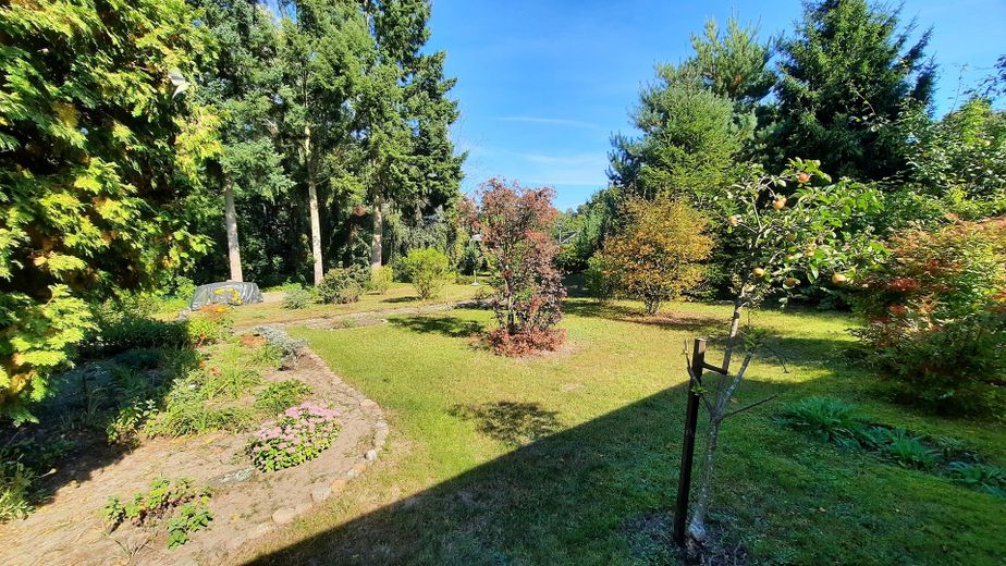 Grundstück Blick nach Nordost