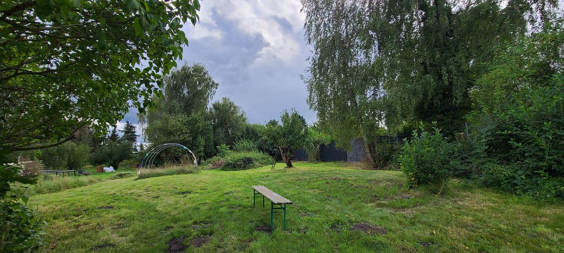 Sicht auf Garten_01