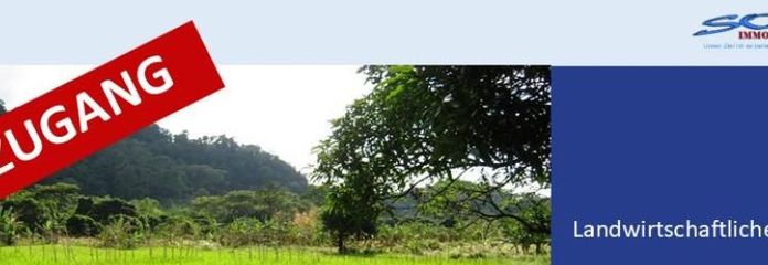 Großzügige Landwirtschaftsfläche / Wiese in Königsmoos, evtl. Ausgleichsfläche oder PV - Ein Objekt von SOWA Immobilien & Finanzen Ihrem Immobilienprofi vor Ort