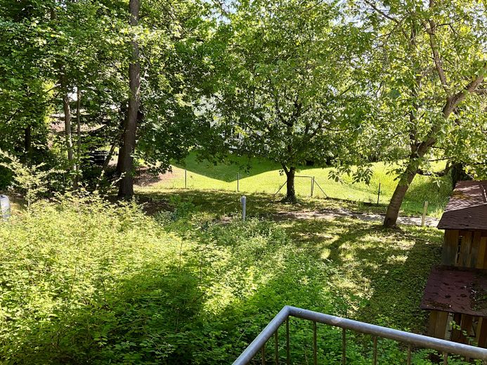 Garten hinter dem Haus