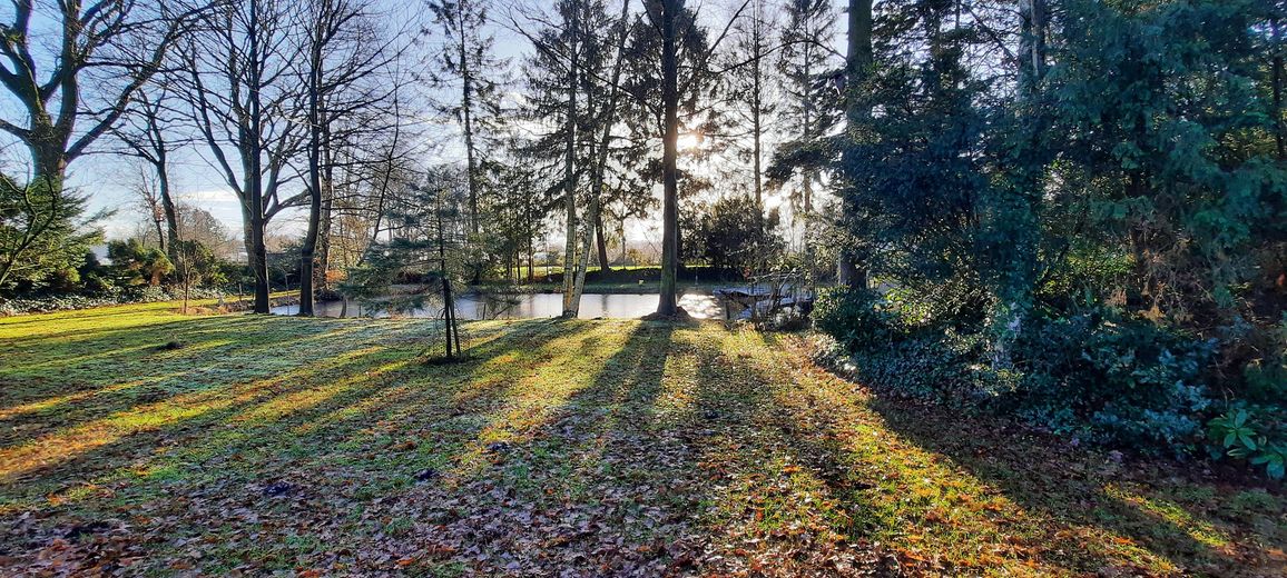 Garten / Teich