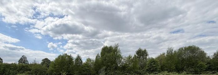 BAUTRÄGERS LIEBLING