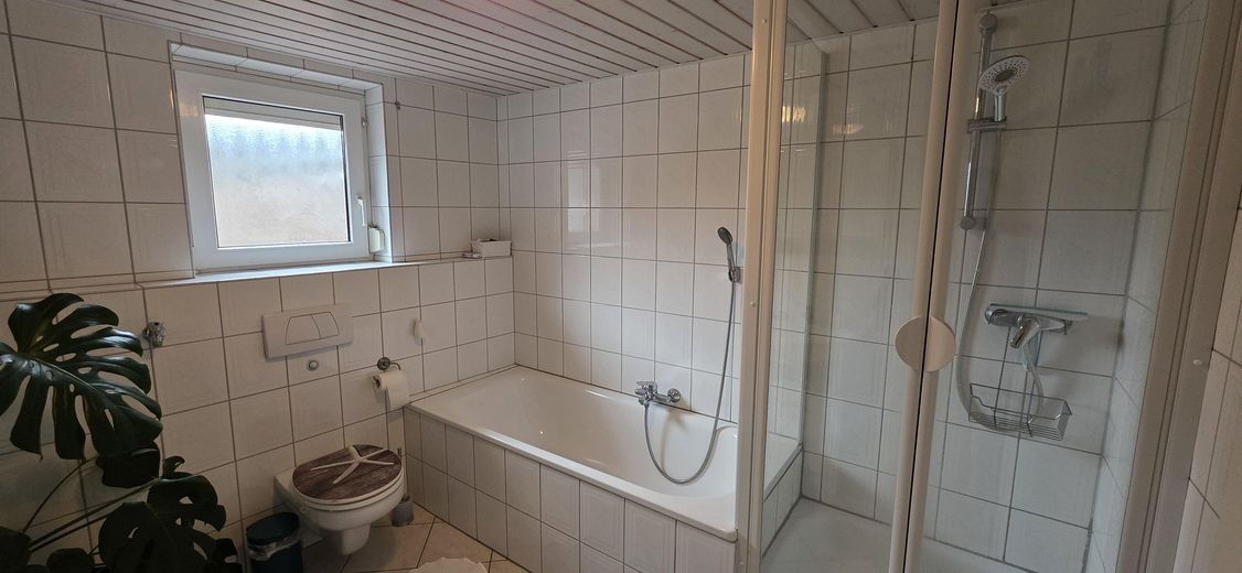 ELW_Duschtür