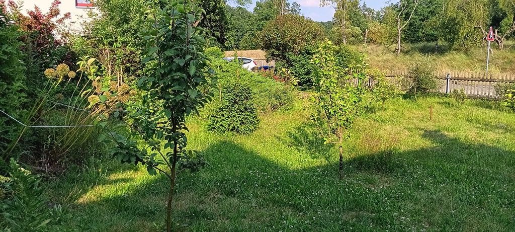Großzügiges freistehendes Einfamilienhaus mit Garage in Rothenfurth – Foto 12