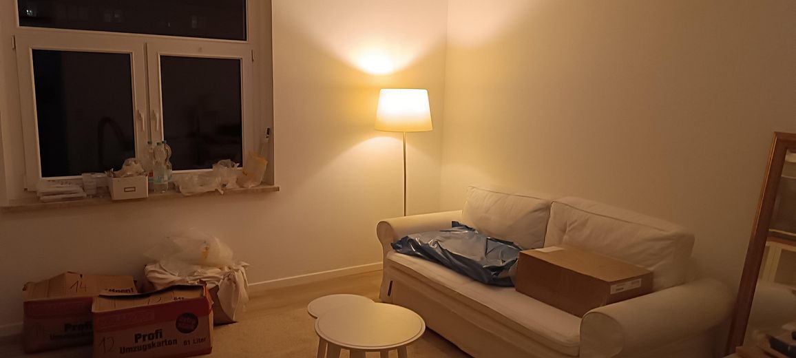 Moderne, frisch sanierte 1-Zimmer-Wohnung mit hochwertiger Ausstattung – Wohn und Schlafbereich rechts