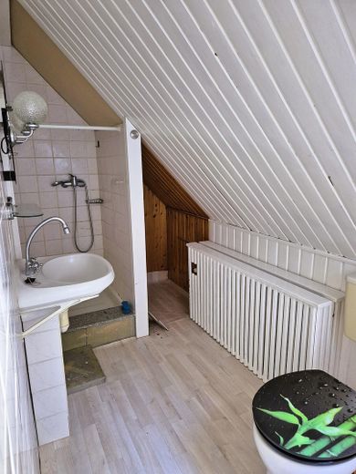 Großes Grundstück im Grünen mit Haus, Garage, Carport, Stellplätze – Duschbad