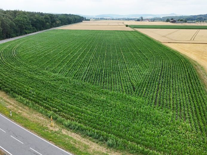 DIETZ: Ackerlandfläche direkt an einer Landstraße zu verkaufen zwischen Groß-Umstadt und Münster! – Foto 1