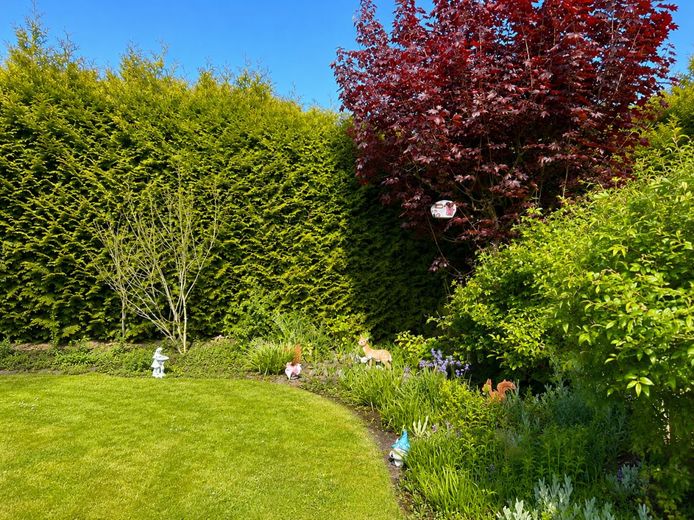Wo Familienglück ein Zuhause findet - Klinkerhaus 
mit großem Garten in ruhiger Wohnlage von Altenwalde – Ein Garten zum Durchatmen