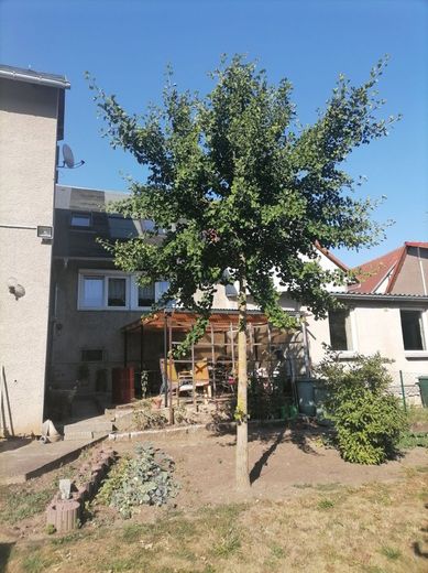 Amt Wachsenburg-OT, DHH – Bild 5