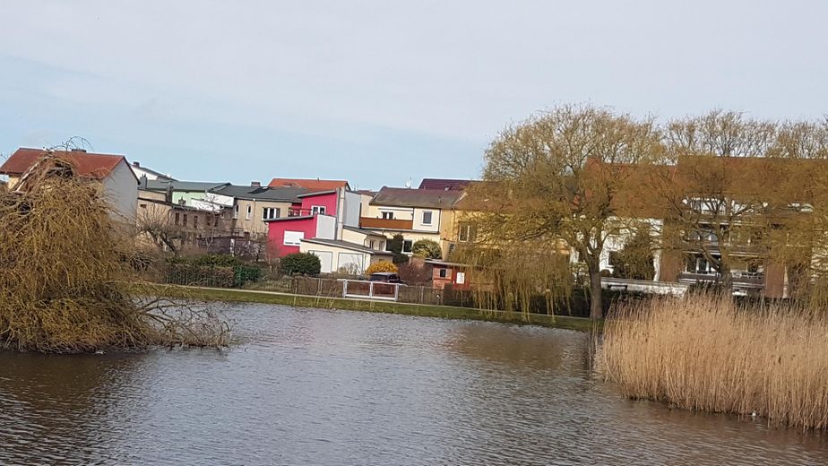 Blick vom Schwanenteich