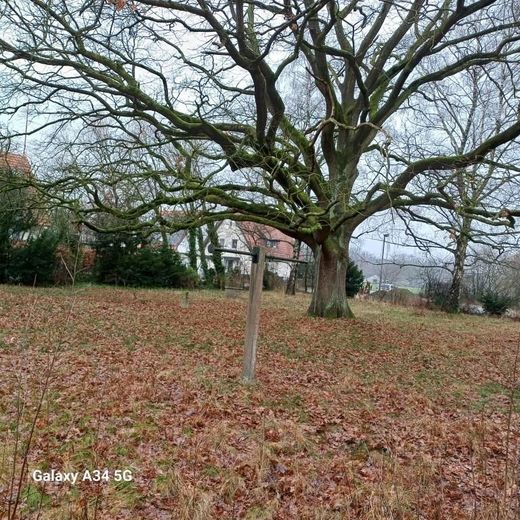 Einfamilienhaus *** renovierungsbedürftig, auf einem grißen Grundstück – Bild 4