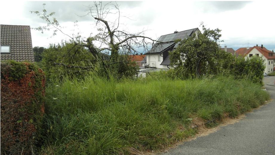 (Reserviert)Bauplatz in Gemmrigheim mit Nähe zur Natur – Blick von der Häfnerstraße