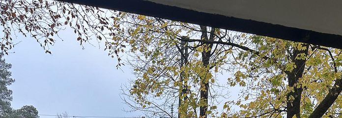 🌟 ग्रैफ़ेल्फ़िंग में प्रमुख स्थान - हरियाली के बीच नवीनीकृत 2,5 कमरों वाला भूतल अपार्टमेंट – Ausblick vom Balkon