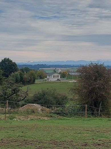 Im Grünen mit Alpenblick