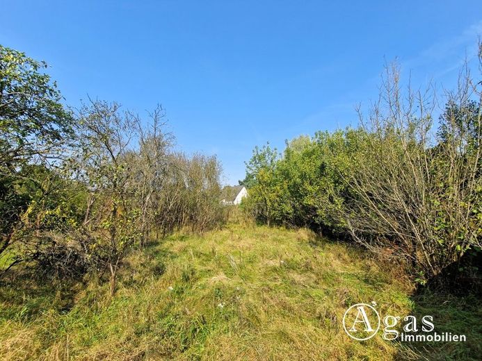 Bauträgerfreies Traumgrundstück mit ca. 1.000 m² in ruhiger Lage von Groß Lindow – Grundstück Ansicht 2