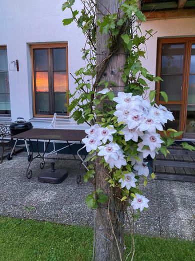 Garten Detail