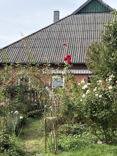 Wohnung am Schaalsee mit Garten und Seeblick – Foto 2