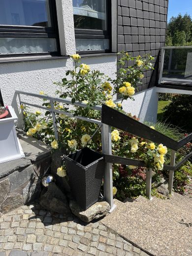 Großzügiges Architektenhaus mit Einliegerwohnung auf traumhaft angelegtem Grundstück – Eingangsbereich Haupteingang
