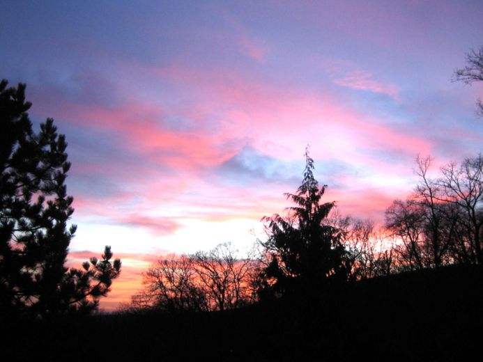 Abendstimmung im Garten