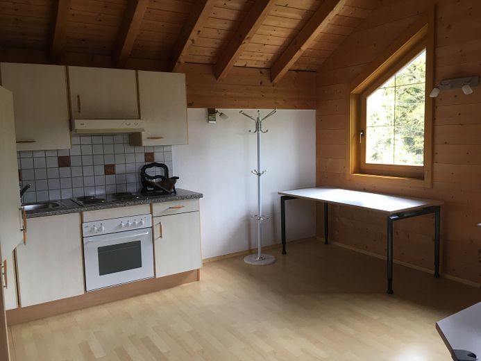 Am Waldrand gelegenes Einfamilienhaus mit ELW und parkähnlichem Garten – ELW Küche