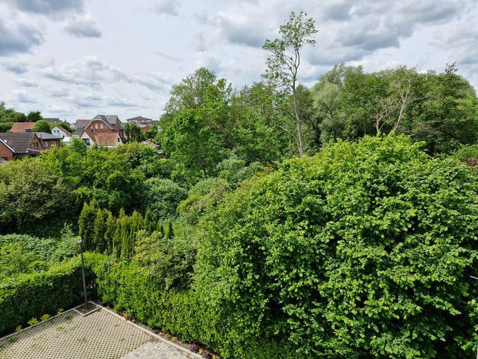 Balkonblick ins Grüne